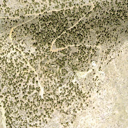 Satellite imagery of Carson Valley Tungsten Mine, US