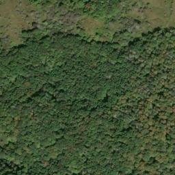 Satellite imagery of Rich Mountain, US