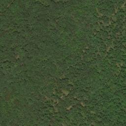 Satellite imagery of Supin Lick Ridge, US