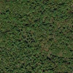 Satellite imagery of Timber Ridge, US