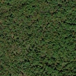 Satellite imagery of Timber Ridge, US