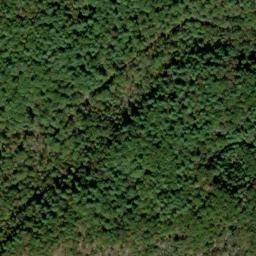 Satellite imagery of Timber Ridge, US