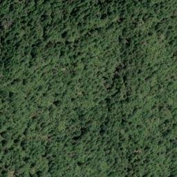 Satellite imagery of Yellow Hound Ridge, US