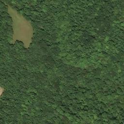 Satellite imagery of V 267 — NGS HX0155 — Lewis County, US, US