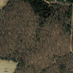 Satellite imagery of Stony Ridge, US
