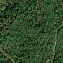 Satellite imagery of Plants Ridge, US