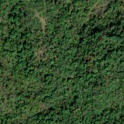 Satellite imagery of Plants Ridge, US