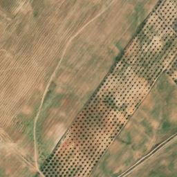 Satellite imagery of survey_point, PT
