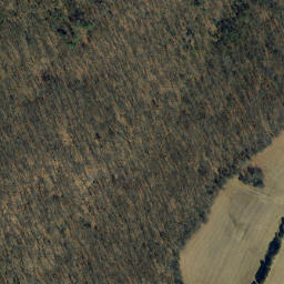 Satellite imagery of Chinn Ridge, US