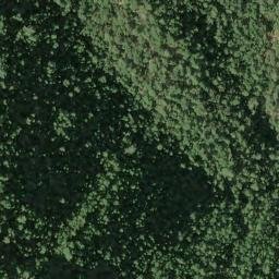 Satellite imagery of McGuire Ridge, US