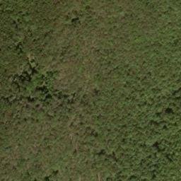 Satellite imagery of Buck Ridge, US