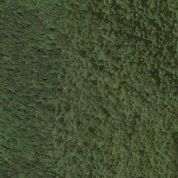 Satellite imagery of S 267 — NGS HX0150 — Braxton County, US, US