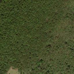 Satellite imagery of Buck Ridge, US