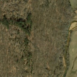 Satellite imagery of Ditney Ridge, US
