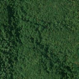 Satellite imagery of Dry Ridge, US
