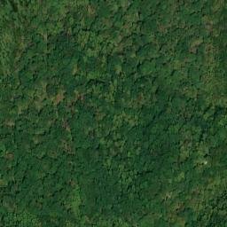 Satellite imagery of Dry Ridge, US