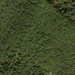 Satellite imagery of Buck Ridge, US