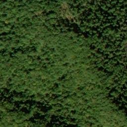 Satellite imagery of Long Arm, US