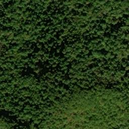 Satellite imagery of Long Arm, US