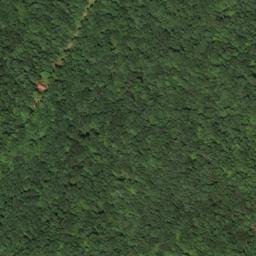Satellite imagery of Curry Ridge, US
