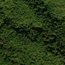 Satellite imagery of Long Arm, US