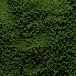Satellite imagery of Long Arm, US
