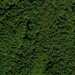Satellite imagery of Long Arm, US