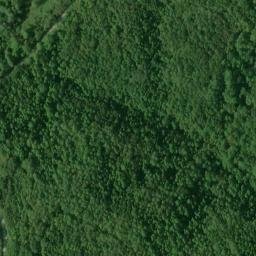 Satellite imagery of Dry Ridge, US