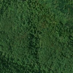 Satellite imagery of Dry Ridge, US