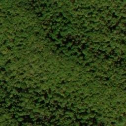 Satellite imagery of Long Arm, US