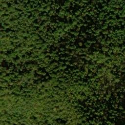 Satellite imagery of Long Arm, US