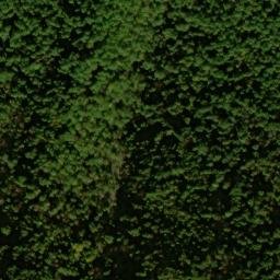 Satellite imagery of Long Arm, US