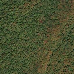 Satellite imagery of Rich Mountain, US