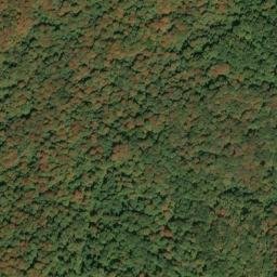 Satellite imagery of Rich Mountain, US