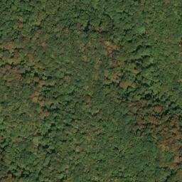 Satellite imagery of Rich Mountain, US