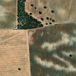 Satellite imagery of survey_point, PT