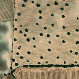Satellite imagery of survey_point, PT