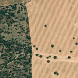 Satellite imagery of survey_point, PT
