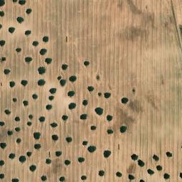 Satellite imagery of survey_point, PT
