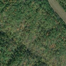 Satellite imagery of Gunville Ridge, US