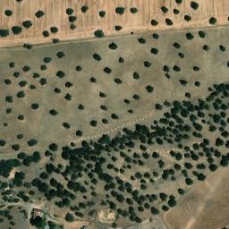 Satellite imagery of survey_point, PT