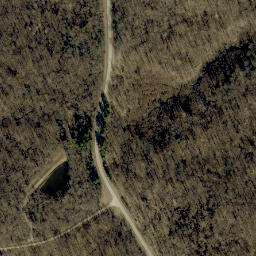 Satellite imagery of Pigeon Ridge, US