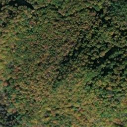 Satellite imagery of Timber Ridge, US