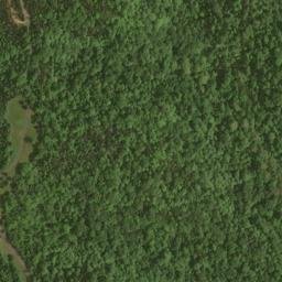 Satellite imagery of Pleasant Ridge, US