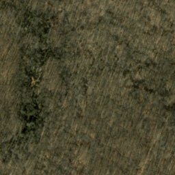 Satellite imagery of Burton Ridge, US