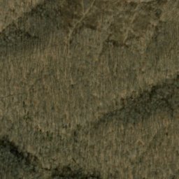 Satellite imagery of Fleener Ridge, US