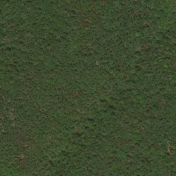 Satellite imagery of Timber Ridge, US