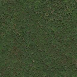 Satellite imagery of Timber Ridge, US