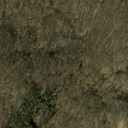 Satellite imagery of Burton Ridge, US