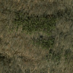 Satellite imagery of Burton Ridge, US